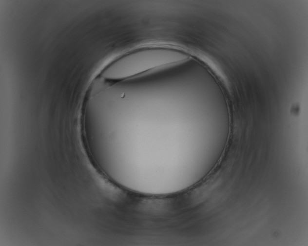 X0000089431237200707131837