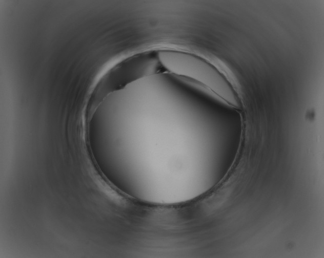 X0000089431238200707131837