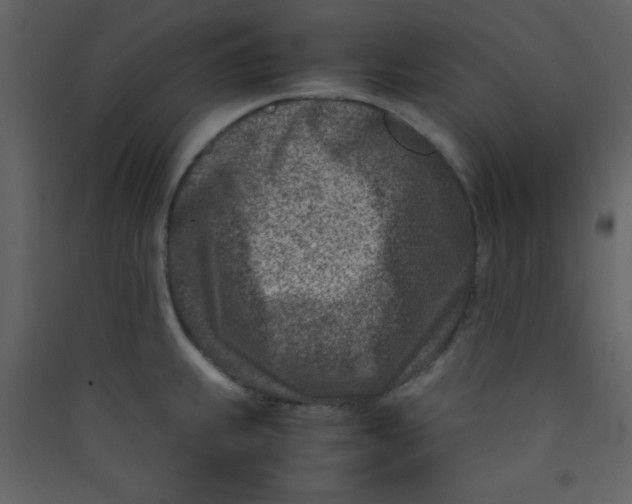 X0000089431239200707131837