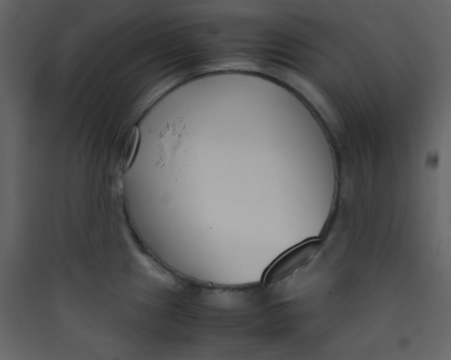 X0000089431241200707131837