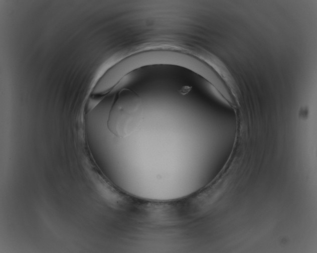 X0000089431242200707131837