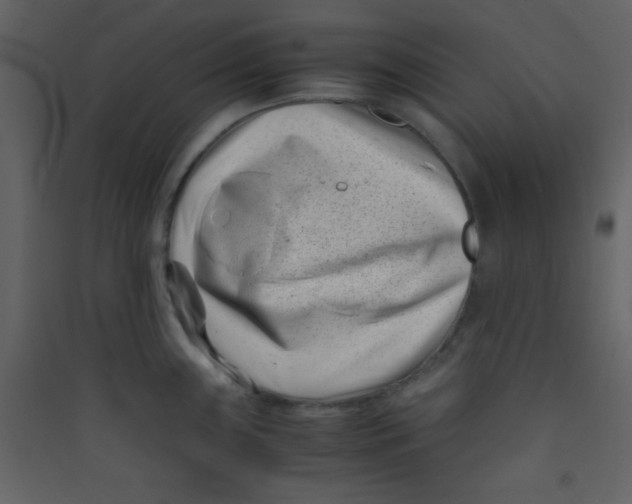 X0000089431243200707131837