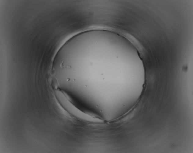 X0000089431244200707131837