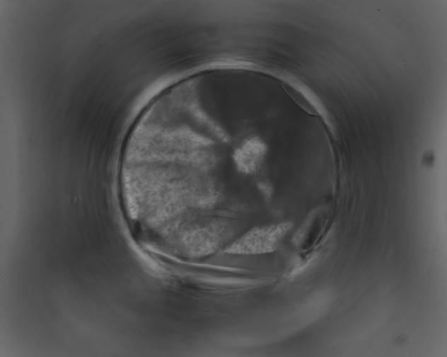 X0000089431245200707131837