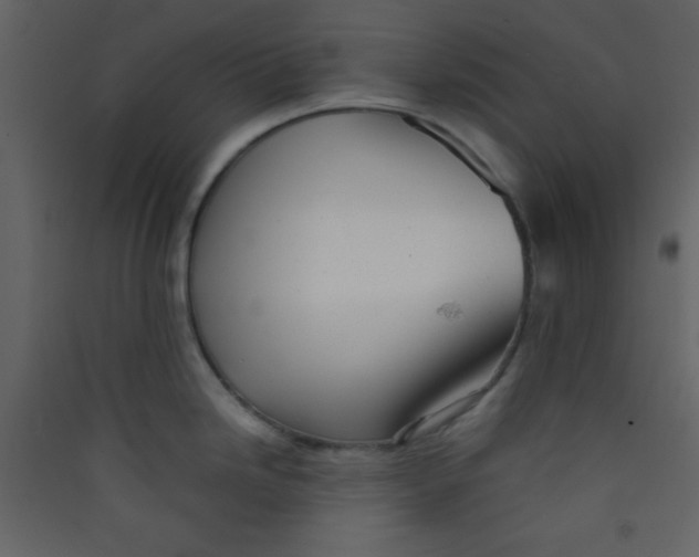 X0000089431246200707131837