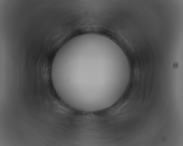 X0000089431250200707131837