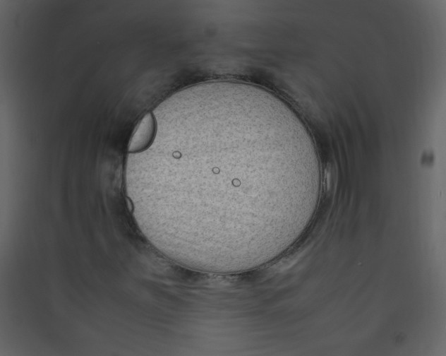 X0000089431251200707131837