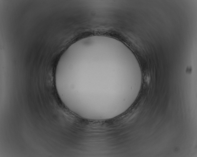 X0000089431252200707131837