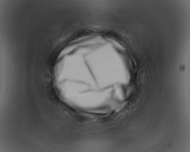 X0000089431253200707131837