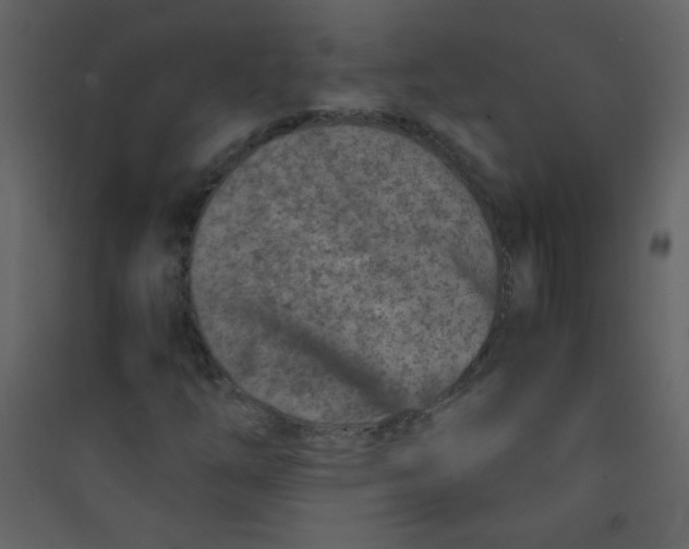 X0000089431254200707131837