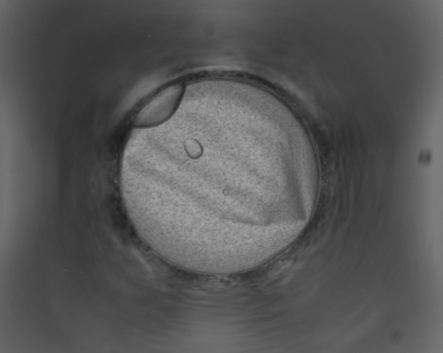 X0000089431255200707131837