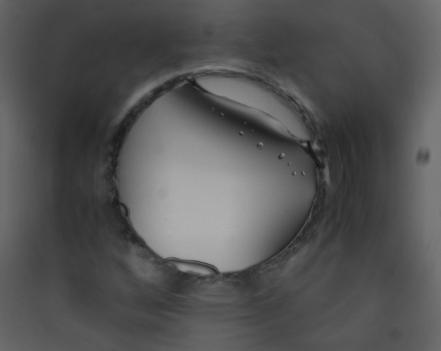 X0000089431256200707131837