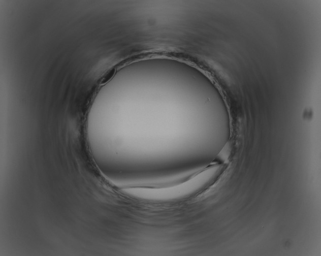 X0000089431257200707131837