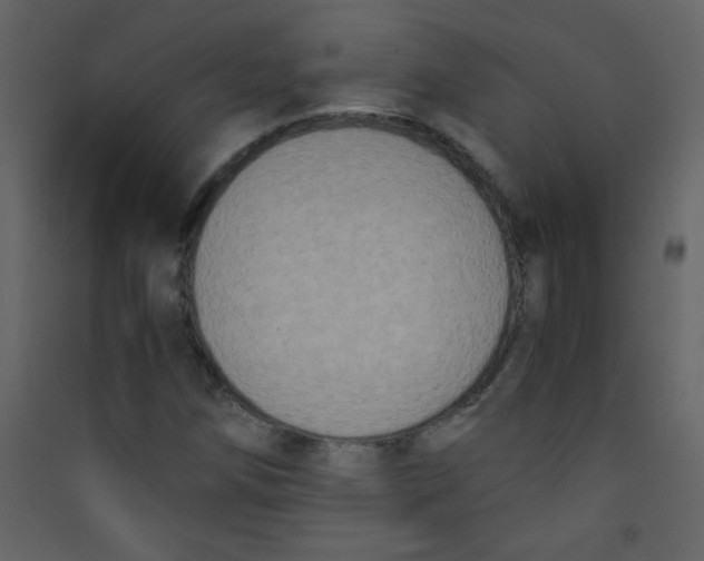 X0000089431258200707131837