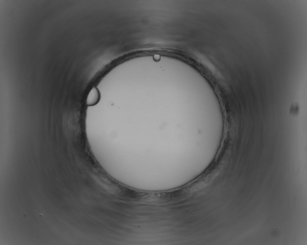 X0000089431259200707131836