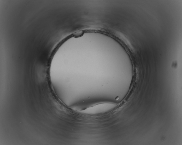 X0000089431260200707131836