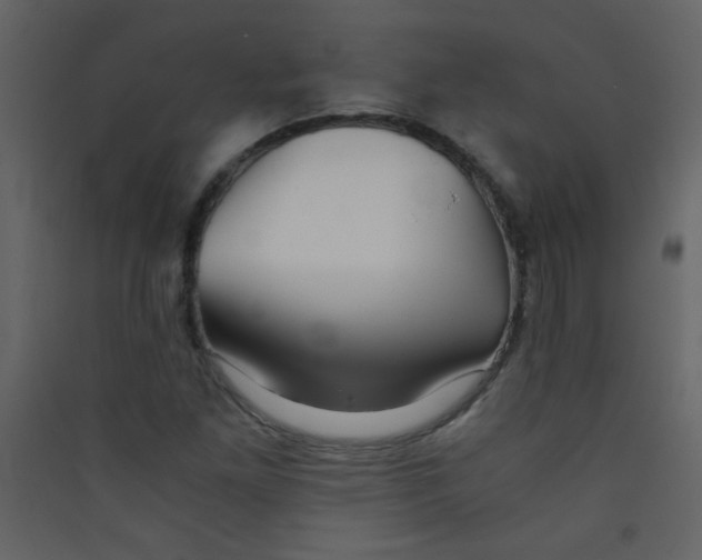 X0000089431261200707131836