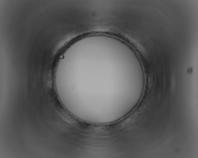 X0000089431262200707131836