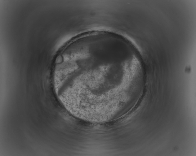 X0000089431263200707131836