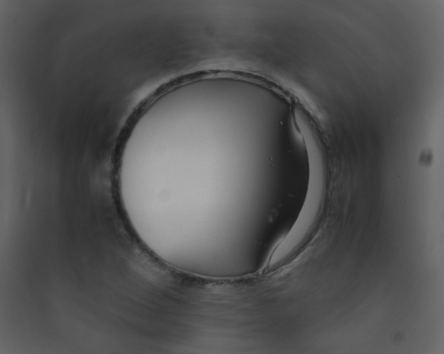 X0000089431264200707131836