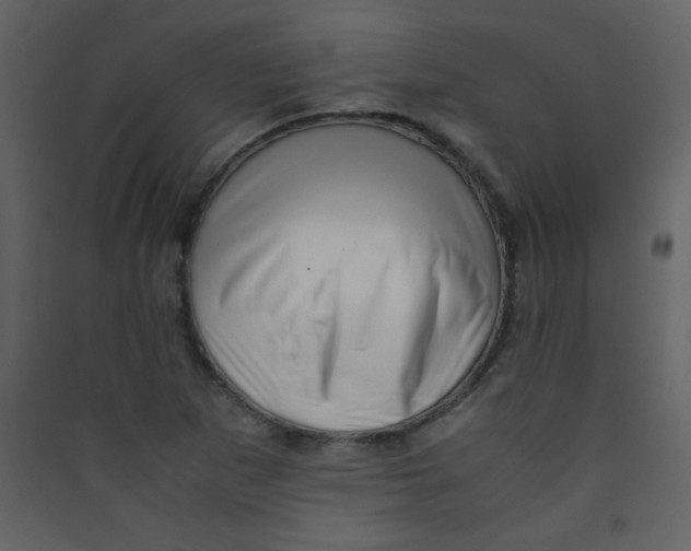 X0000089431265200707131836