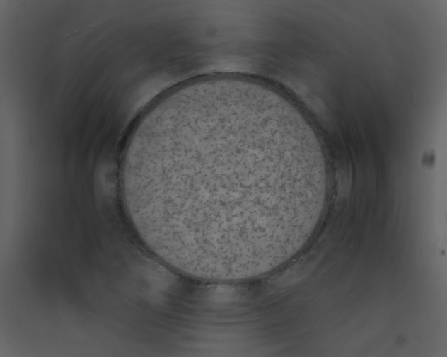 X0000089431266200707131836