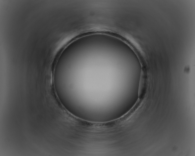 X0000089431269200707131836