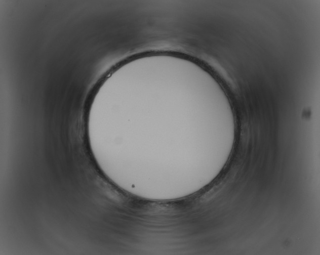 X0000089431270200707131836