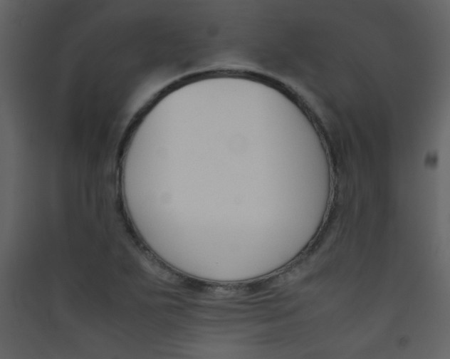 X0000089431271200707131836