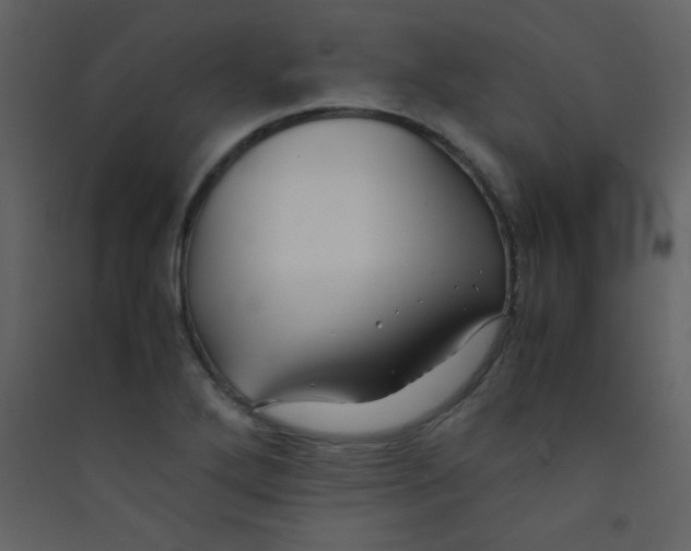 X0000089431272200707131836