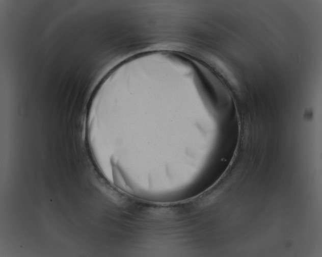 X0000089431276200707131836