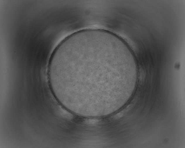 X0000089431278200707131836