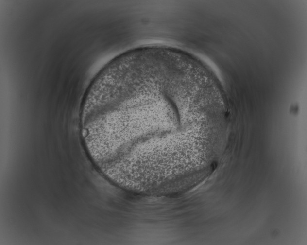 X0000089431279200707131836