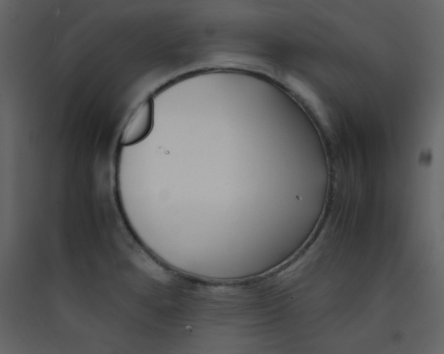 X0000089431280200707131836