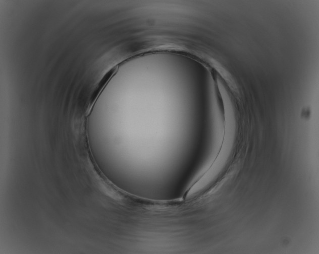 X0000089431281200707131836