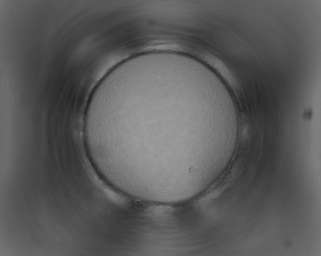 X0000089431282200707131836