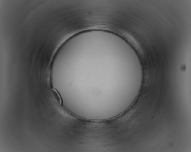 X0000089431284200707131836