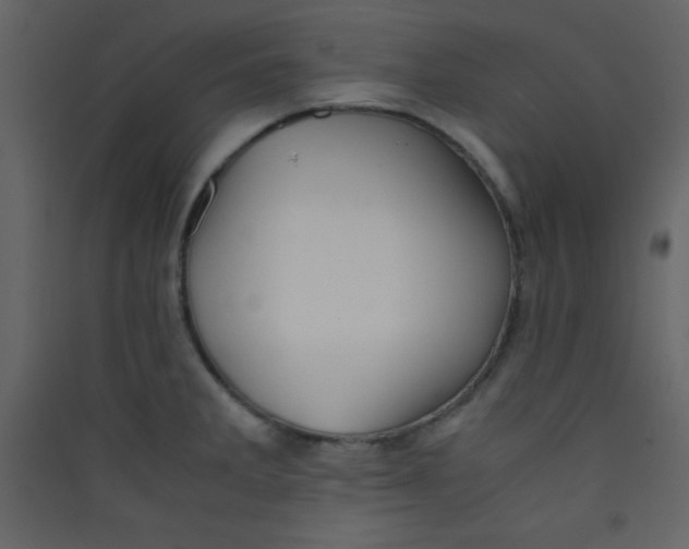 X0000089431285200707131836