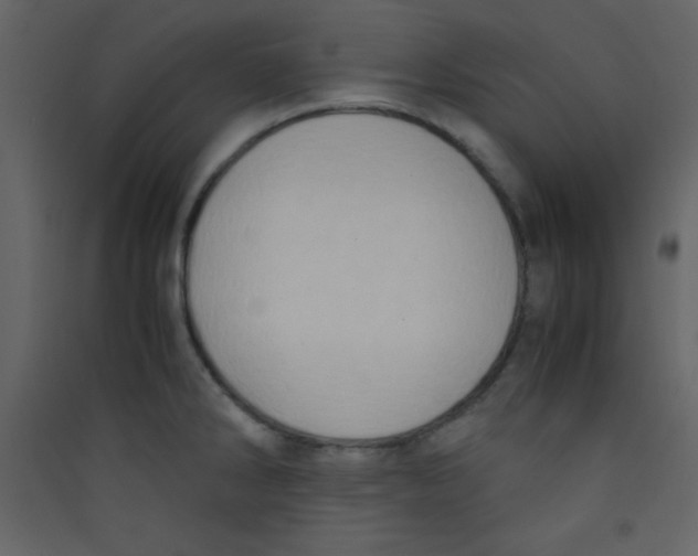 X0000089431286200707131836