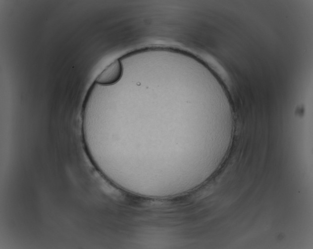 X0000089431287200707131836