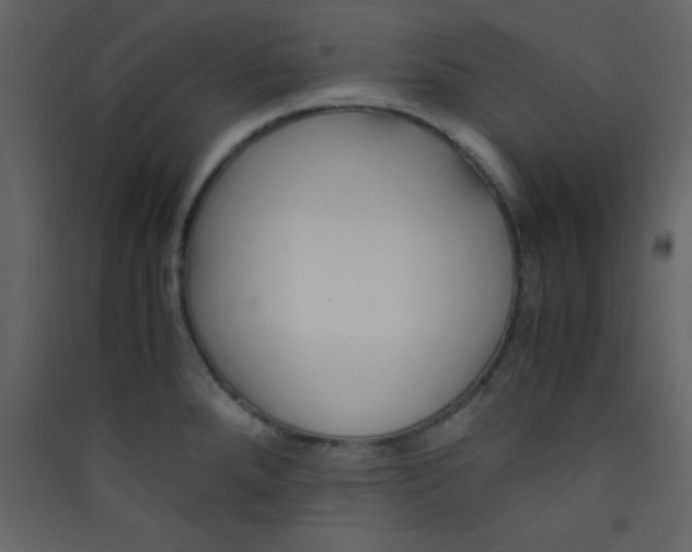 X0000089431288200707131836