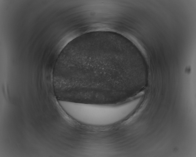 X0000089431289200707131836