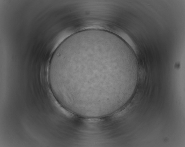 X0000089431290200707131836