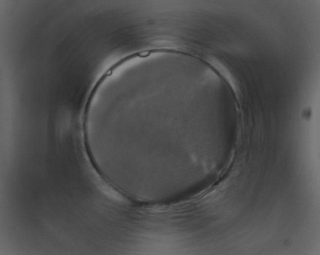 X0000089431291200707131836