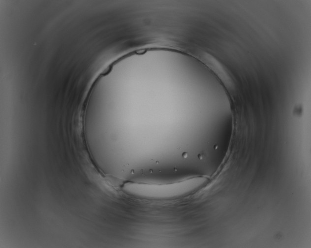 X0000089431292200707131836