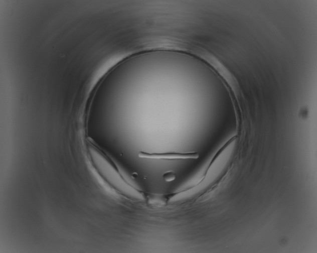 X0000089431293200707131836