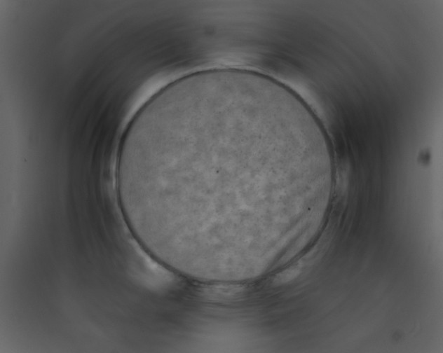 X0000089431294200707131836