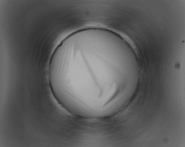 X0000089431295200707131836