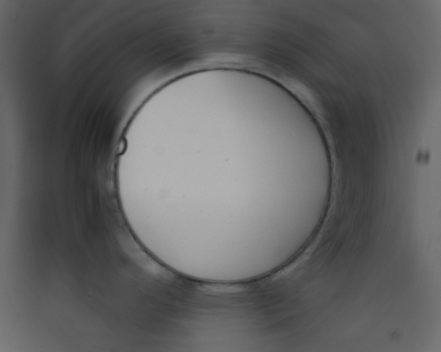 X0000089431296200707131836