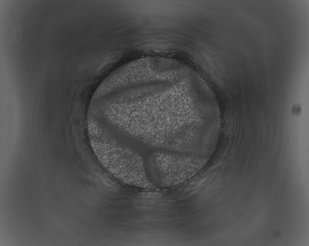 X0000089431297200707131835